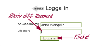 losenord.jpg