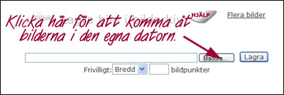 Bildarkiv_lagrabild-1.jpg