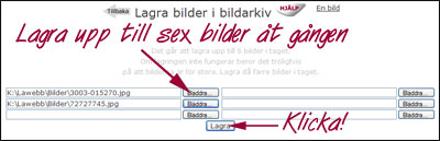 Bildarkiv_lagrabild-2_2.jpg