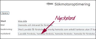 Sok_Nyckelord.jpg