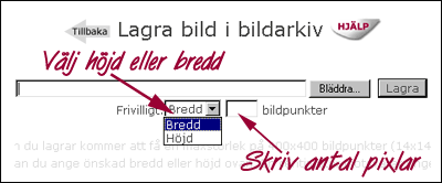 bestam-bildstorlek.gif