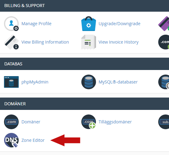 misshosting-zoneeditor2.png